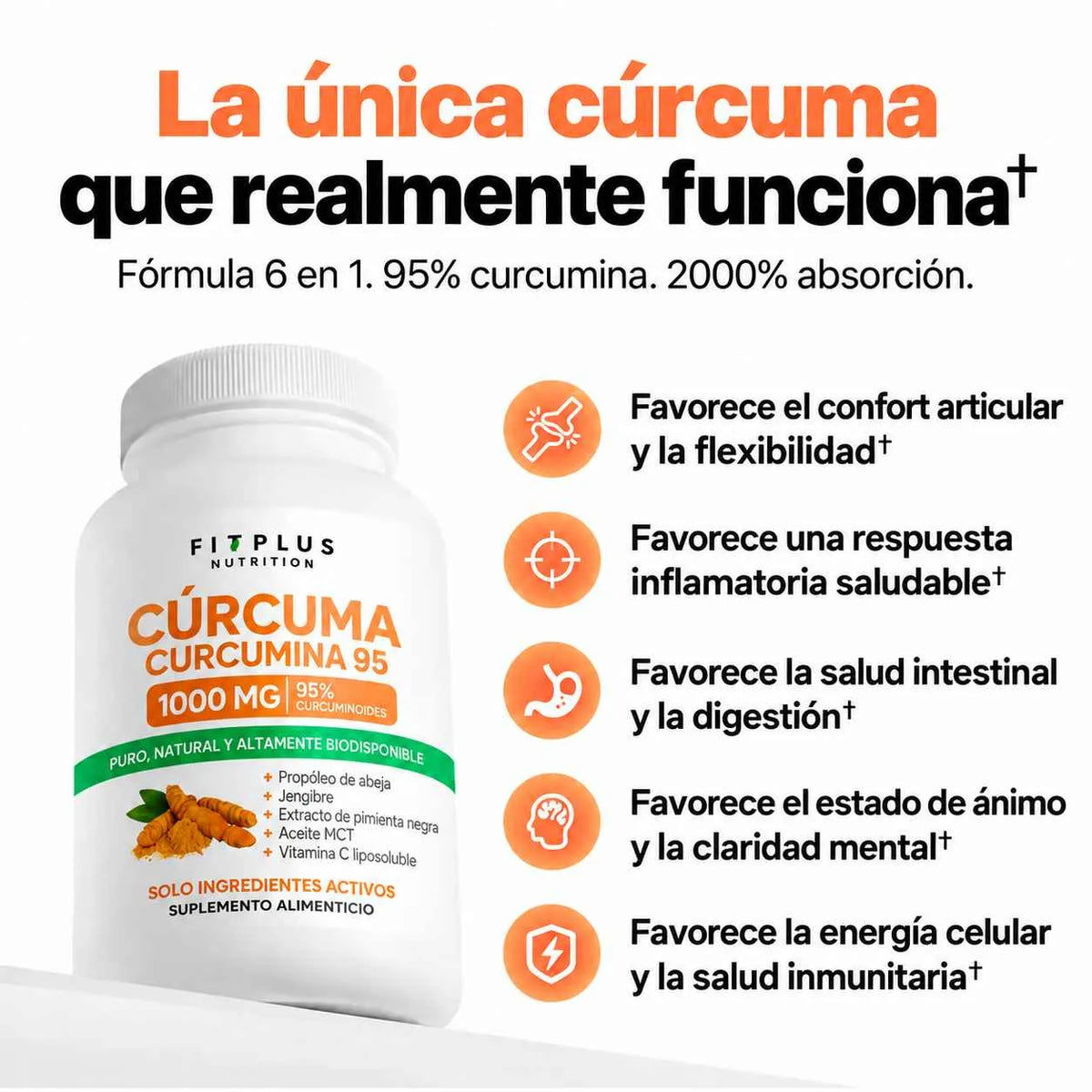 Cúrcuma con Curcumina al 95%