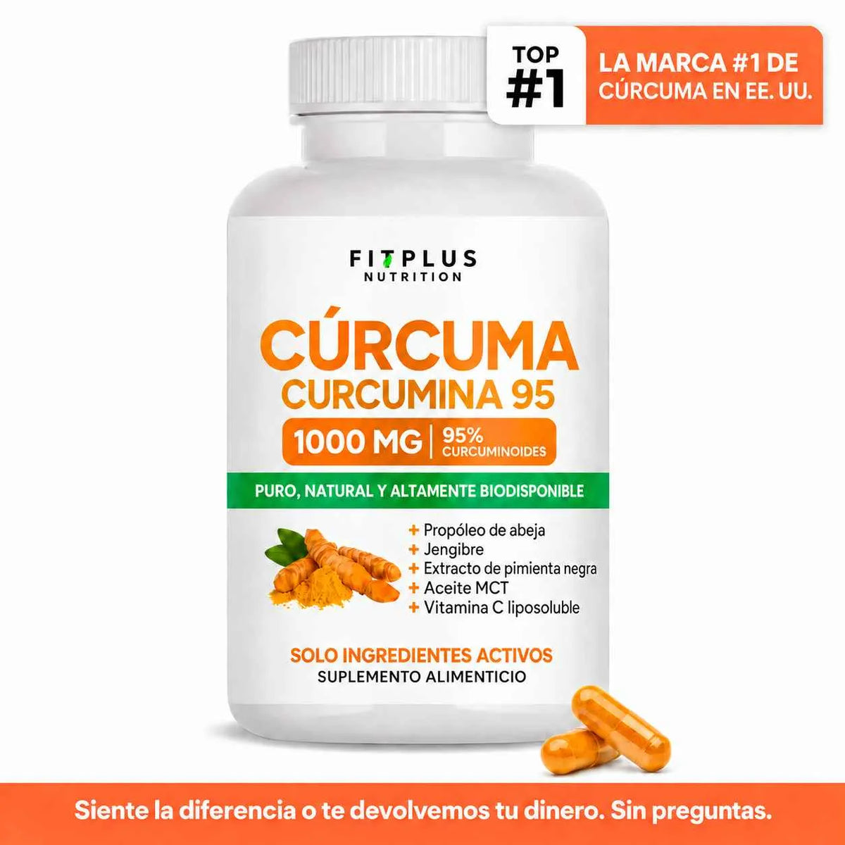 Cúrcuma con Curcumina al 95%