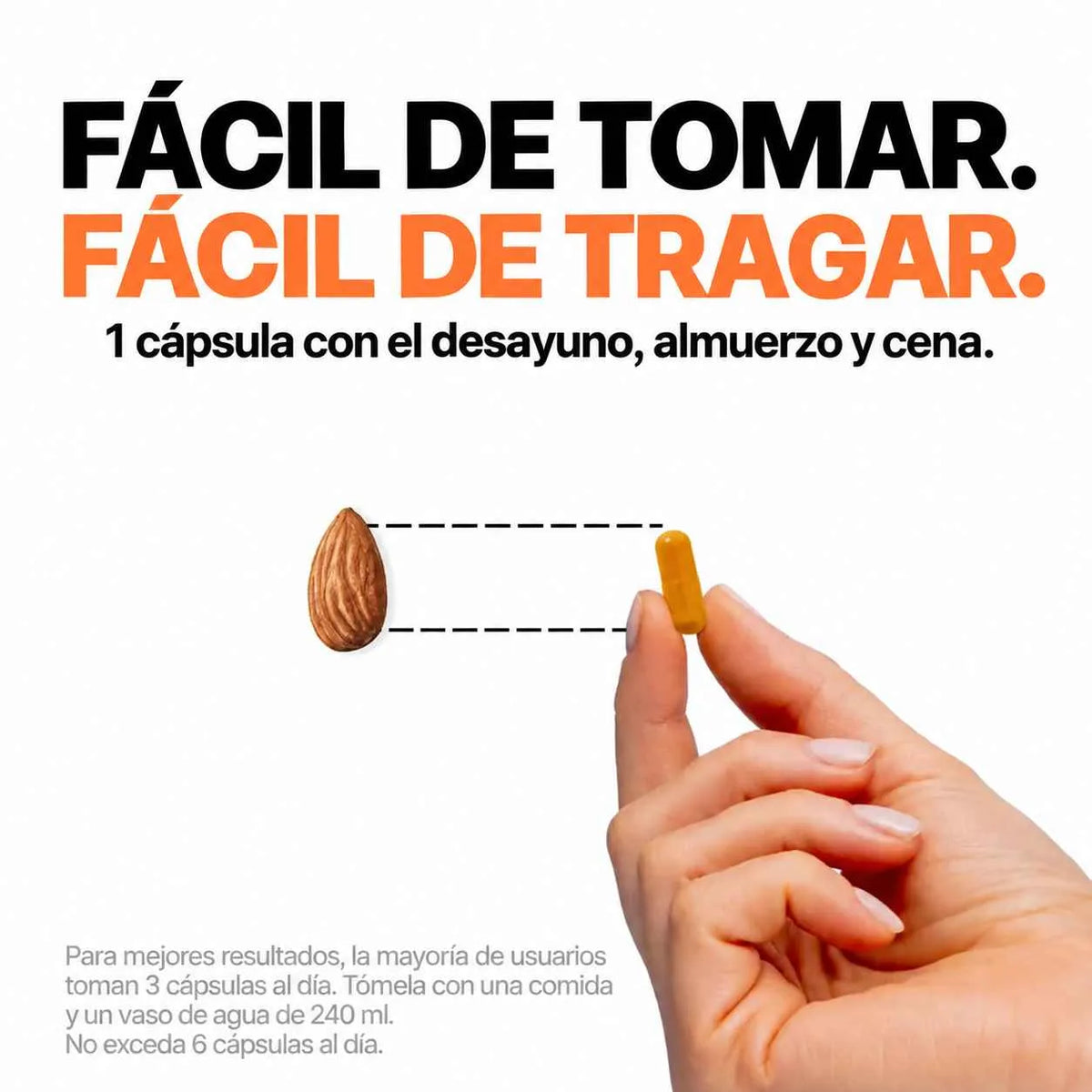 Cúrcuma con Curcumina al 95%